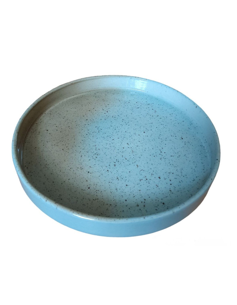 Тарілка з бортом  Ideal Ceramic 23см з ефектарним нанесенням